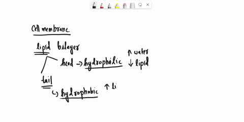 question-8-water-passes-quickly-through-cell-membranes-because-the-bilayer-is-hydrophilic_-it-is-a-small-nonpolar-molecule-it-moves-through-aquaporin-channel-proteins_-water-movement-is-tied-91704