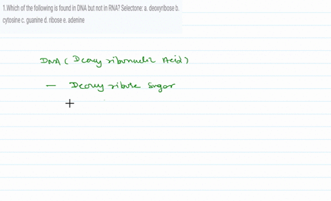 1which-of-the-following-is-found-in-dna-but-not-in-rna-selectone-a-deoxyribose-b-cytosine-c-guanine-d-ribose-e-adenine-97056