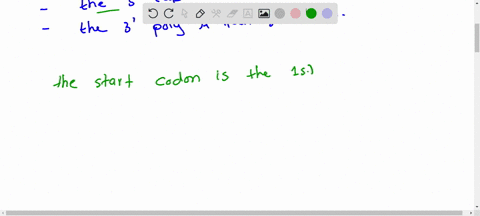 which-of-the-following-is-translated-the-start-codon-the-promoter-the-5-cap-the-3-poly-a-tail-switches-03752