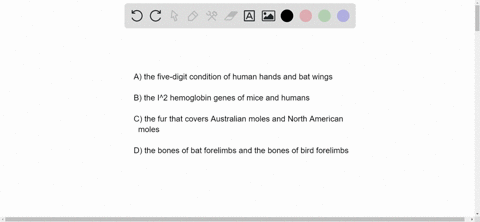 12-the-term-homoplasy-is-most-applicable-to-which-of-the-following-features-a-the-five-digit-condition-of-human-hands-and-bat-wings-b-the-hemoglobin-genes-of-mice-and-humans-c-the-fur-that-c-68243