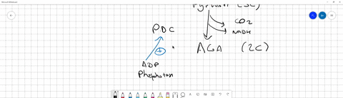what-will-be-the-consequence-of-inhibiting-the-pyruvate-dehydrogenase-specific-phosphatase-regulatory-enzyme-a-the-pyruvate-dehydrogenase-complex-will-be-activated-b-there-will-be-an-increas-40684