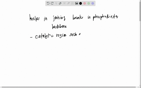 compare-and-contrast-dna-ligase-and-dna-polymerase-include-details-regarding-structure-function-metabolic-pathways-regulation-etc-16409