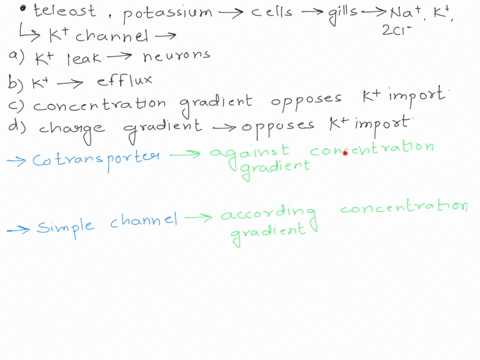in-a-freshwater-telepost-potassium-passes-from-the-environment-into-the-mitochondrial-rich-cells-of-the-gills-by-means-of-na-k-2cl-co-transporter-the-main-reason-a-simple-k-channel-on-the-ap-57067