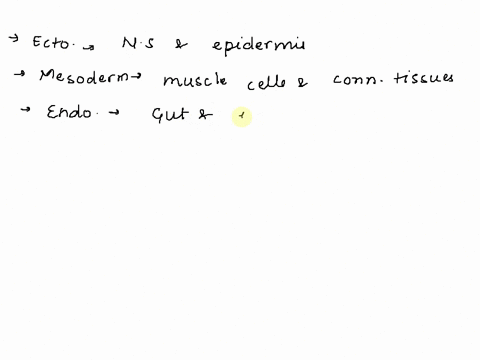 the-germ-layer-that-gives-rise-to-the-outer-covering-of-the-body-and-the-nervous-system-is-the-a-b-2-11975