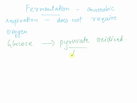 how-many-atps-are-produced-during-fermentation-why-would-an-organism-want-to-undertake-this-process-37067