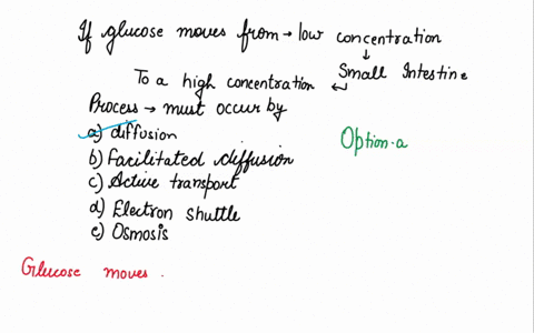 if-glucose-moves-from-a-low-concentration-in-the-small-intestine-to-a-high-concentration-in-the-blood-this-process-must-occur-by-________-a-diffusion-b-facilitated-diffusion-c-active-transpo-69749