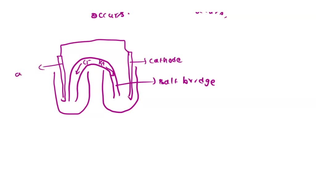 solved-4-the-anode-of-an-electrochemical-cell-is-the-site-at-which-a