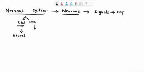 mosti-nerve-cells-communicate-with-others-by-means-select-of-one-bursts-pressure-that-none-bump-the-ofthe-post-options-synaptic-cell-membrane-chemical-isignals-that-pass-electric-across-sign-40004