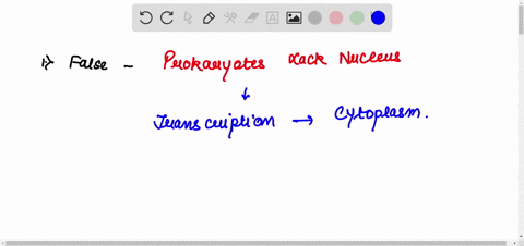 question-111-2-pts-in-prokaryotic-cells-transcription-occurs-in-the-nucleus-and-is-separate-from-the-translation-that-occurs-in-the-cytoplasm-in-eukaryotic-cells-transcription-occurs-in-the-09375