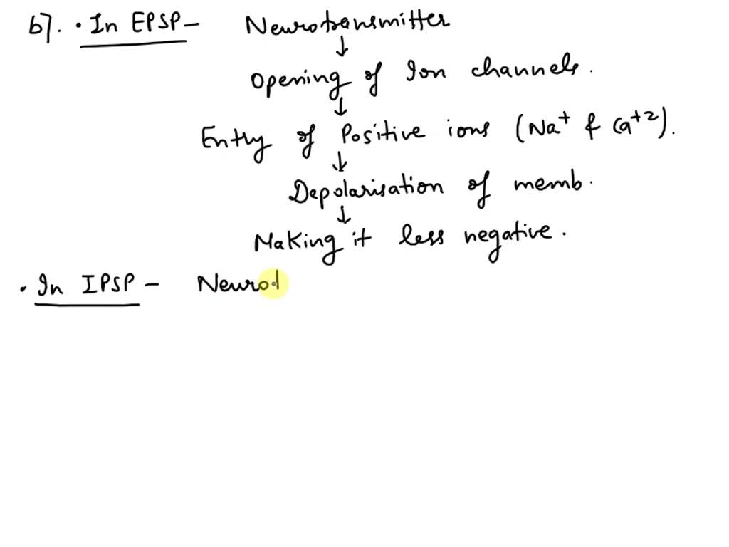 SOLVED Texts Electrical Signals of Neurons 1. Resting Membrane