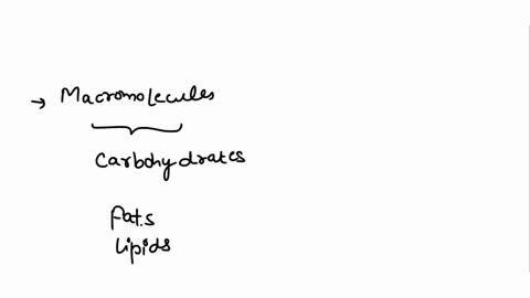 which-macromolecule-is-the-first-to-be-used-for-energy-in-the-cell-carbohydrates-fats-lipids-proteins-41963