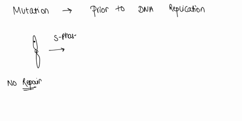 if-a-bacterium-acquires-a-mutation-prior-to-replicating-its-dna-and-if-the-mutation-is-not-repaired-which-of-the-following-is-true-both-of-the-daughter-cells-will-acquire-the-same-mutation-h-03162