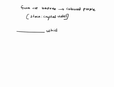 gram-positive-bacteria-are-colored-purple-when-the-gram-stain-binds-to-__________-which-composes-their-thick-cell-wall-97758