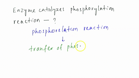 enzymes-that-catalyze-phosphorylation-reactions-are-called-a-oxidoreductases-b-transferases-c-isomerases-d-hydrolases-e-lyases-01557