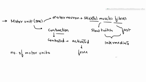6-describe-the-order-of-motor-unit-recruitment-in-terms-of-types-of-skeletal-muscle-fibers-slow-twitch-fast-twitch-and-intermediate-as-force-of-contraction-increases-from-5kg-to-30-kg-how-do-08024