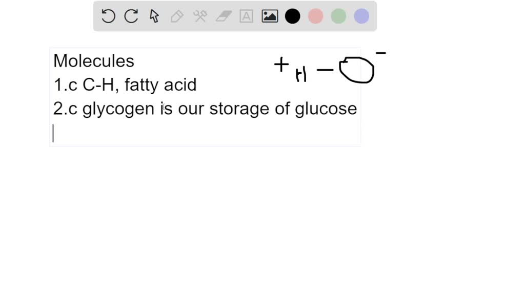 SOLVED Question 5 (1 point) After being fully hydrolyzed, a