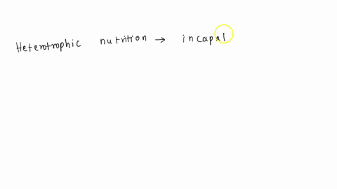 heterotrophic-nutrition-involvesa-production-of-simple-sugar-from-inorganic-compounds-b-utilisation-of-chemical-energy-to-prepare-food-c-utilisation-of-energy-obtained-by-plant-d-all-of-thes-35559