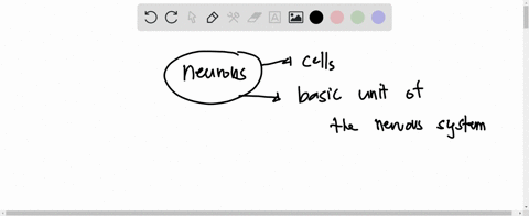 what-connects-neurons-and-what-chemicals-help-neurons-communicate-the-_____connects-the-axon-of-one-neuron-with-the-dendrite-of-another-neuron-to-relay-messages-neurons-transmit-information-47437