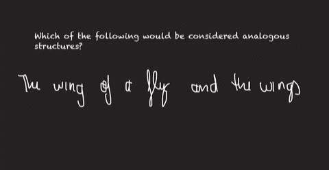 which-of-the-following-would-be-considered-analogous-structures-the-forelimb-of-a-bat-and-the-forelimb-of-a-horse-the-pelvis-of-a-human-and-the-pelvis-of-a-whale-the-flipper-of-a-dolphin-and-81338