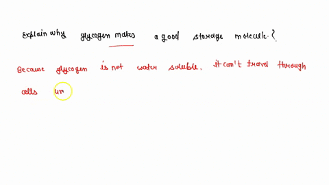 explain-why-glycogen-makes-a-good-storage-molecule-97497