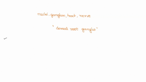 the-terms-nuclei-ganglion-_-tract-and-nerve-are-used-denore-very-specific-anatomical-structures-and-locations-of-nervous-tissue-for-instance-what-does-the-name-dorsal-root-banglia-tell-you-a-99244