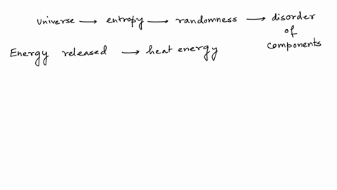 the-universe-tends-to-move-to-a-state-of-entropy-or____-11993