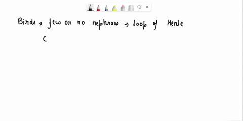 birds-can-not-produce-urine-as-concentrated-as-mammals-because-a-the-birds-do-not-have-kop-of-henle-in-nephrons-b-the-birds-do-not-have-nehprons-with-short-loop-of-henle-cthe-birds-have-few-38397