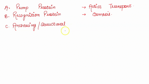 match-the-description-of-the-cell-membrane-part-to-its-description-protein-that-relays-a-chemical-message-to-the-inside-of-the-cell-whenever-a-certain-molecule-attaches-to-them-protein-that-83066