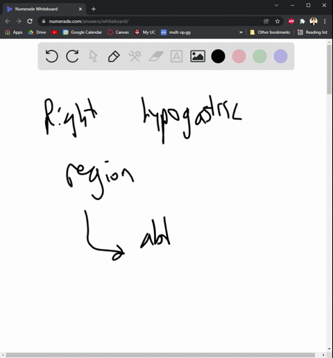 critical-thinking-question-50-year-old-man-walks-into-the-medical-office-saying-he-has-abdominal-pain-inspection-reveals-a-surgical-scar-right-of-the-hypogastric-region-what-conclusions-can-54913