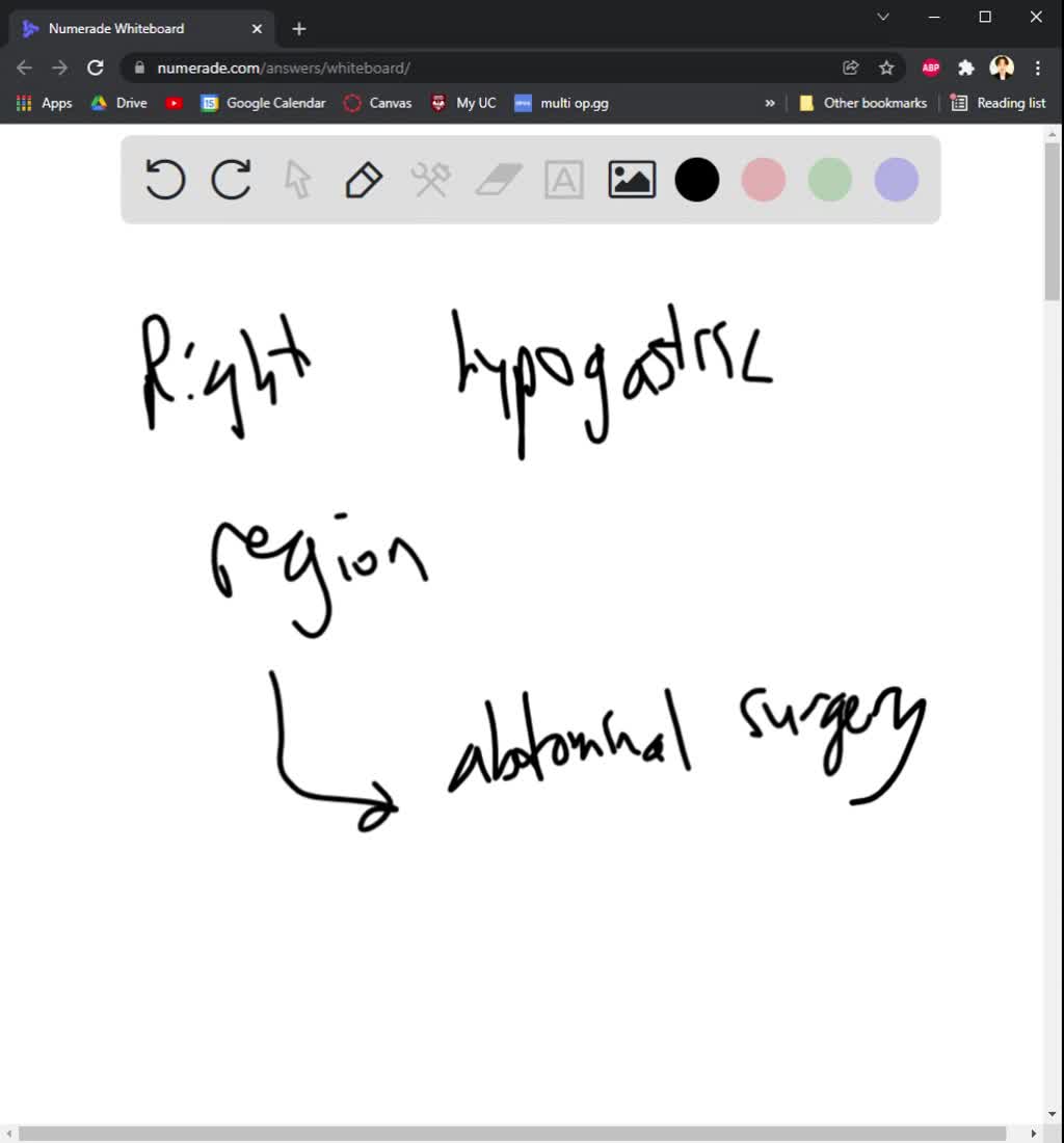 SOLVED: A surgeon notes that he made a left infraumbilical paramedian ...