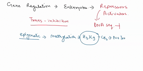 compare-the-control-of-gene-regulation-in-eukaryotes-and-prokaryotes-at-the-level-of-initiation-of-t-84875