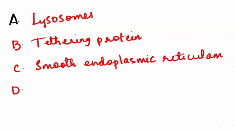 match-the-organelle-on-the-left-with-the-ppropriate-property-on-the-right-peroxisomes-a-degradation-of-damaged-organelles-smooth-endoplasmic-reticulum-b-binds-vesicle-to-target-membrane-bios-92877