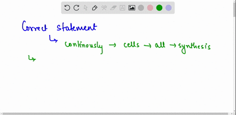 which-statement-most-accurately-describes-the-process-of-respiration-09736