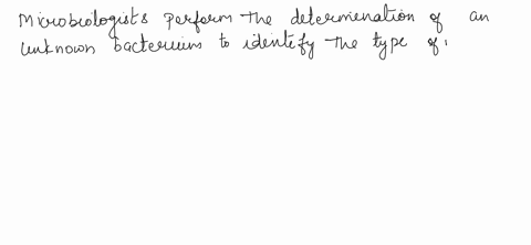 why-would-a-microbiologist-would-be-performing-the-determination-of-an-unknown-bacterium-99093