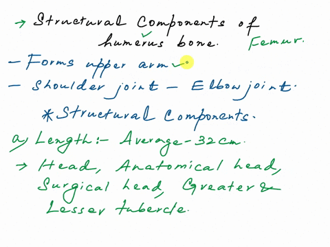 identify-each-lettered-structure-shown-in-fig56-a-b-c-d-e-f-g-anterior-surface-posterior-surfac-fig56-distal-end-of-the-humerus-section-1exercise-7-identify-each-lettered-structure-shown-in-50142