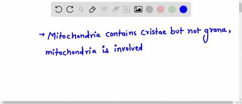 mitochondria-are-involved-in-cellular-respiration-a-contains-grana-and-cristae-b-break-down-atp-to-release-energy-for-cells-are-present-in-animal-cells-but-not-plant-cells-99997