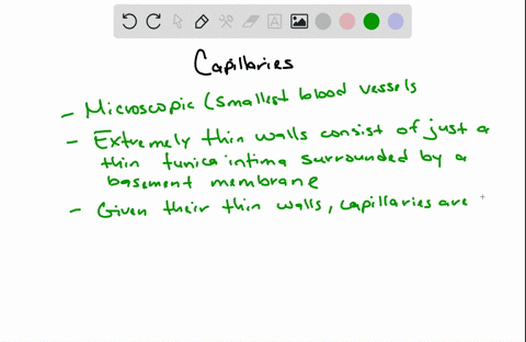 how-does-the-structure-of-simple-squamous-epithelium-allow-for-efficient-exchange-gases-and-solutes-across-the-capillaries-and-lungs-78643