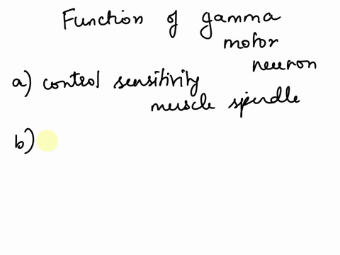 the-function-of-the-gamma-motor-neuron-is-to-control-the-sensitivity-of-the-muscle-spindle-limit-the-degree-of-contraction-of-the-muscle-detect-changes-in-the-muscle-fiber-length-stimulate-t-86211