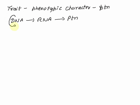 explain-how-dna-determines-traits-of-an-organism-21928