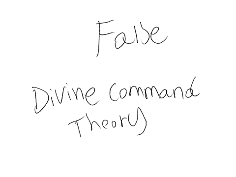 question-3-the-divine-command-theory-states-that-certain-actions-are-sins-based-on-their-moral-and-ethical-value-true-false