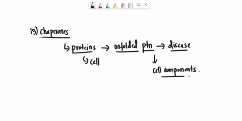 question-13-chaperones-maintain-functional-proteins-proteome-in-ilving-organisms-and-prevents-diseases-0h-true-false-36058