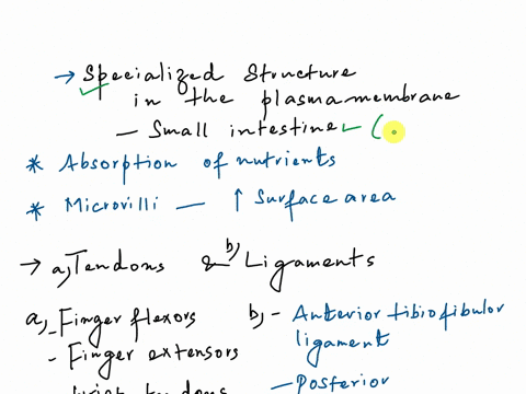 1-the-apical-plasma-membrane-of-cells-lining-the-small-intestine-has-______________-flagella-microvilli-stereocilia-which-are-specialized-for-absorption-of-nutrients-because-they-___________-38585