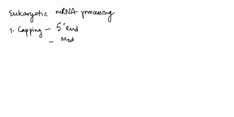 true-or-falsee-l-only-eukaryotic-of-mrna-is-processed-before-translation-2-translation-of-eukaryotic-mrna-can-occurin-the-nucleus-after-exons-are-spliced-itogether-3translation-occurs-in-rib-46068