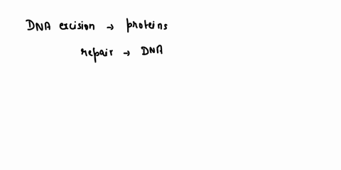 explain-how-dna-excision-repair-is-used-to-repair-thymine-dimers-explain-in-detail-59369