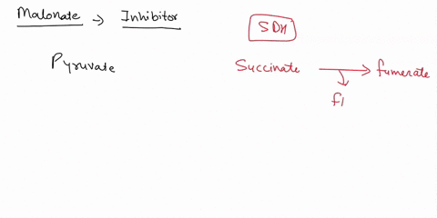 mmalonate-is-a-competitive-inhibitor-of-succinate-dehydrogenase-if-malonate-is-added-to-a-mitochondrial-preparation-that-is-oxidizing-pyruvate-a5-substrate-which-of-the-following-compounds-w-55169