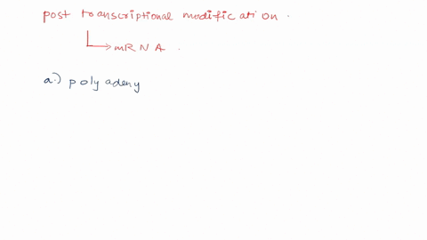 which-of-the-following-is-not-true-of-post-transcriptional-modifications-made-to-mrna-select-one-a-polyadenylation-of-mrna-occurs-in-the-cytoplasm-just-before-the-transcript-associates-with-34743