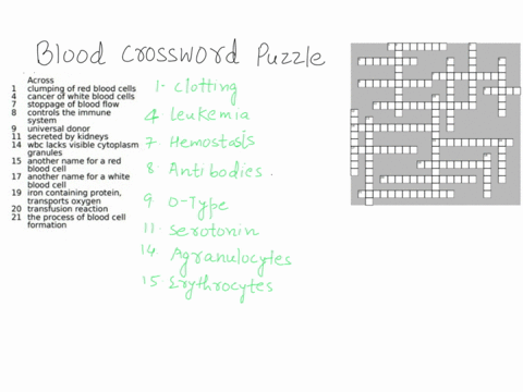 blood-crossword-puzzle-across-clnceing-of-red-blood-cells-j-cancer-white-blood-cells-stoppage-of-blood-flow-controls-the-immune-system-universal-donor-i-secreted-by-kidneys-wbc-lacks-visible-78518