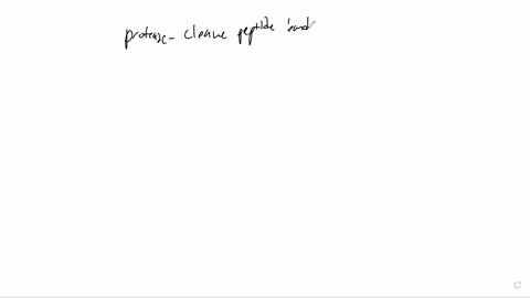 1-what-is-the-catalytic-site-of-serine-proteases-catalytic-triad-cysteine-proteases-catalytic-triad-aspartyl-proteases-catalytic-triad-and-metalloproteases-which-metal-ion-serine-proteases-c-12542
