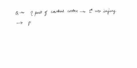 kindly-answer-all-questions-question-19-2-pts-you-are-in-a-hurry-in-the-anatomy-lab-and-reach-into-a-pile-of-dissecting-toolsonly-to-recoil-because-you-have-stabbed-your-finger-with-the-tip-14083