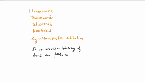 a-targeted-therapy-that-works-through-signal-transduction-inhibition-is-a-fluorouracil-b-temozolomide-c-cetuximab-d-pemetrexed-44114